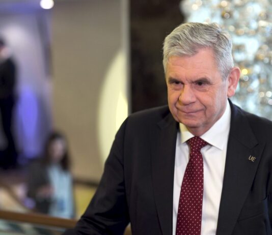 Prezes UKE: Mamy opóźnienia w budowie sieci szerokopasmowych. Polska wykonała 80–90 proc. planu Cyfrowej Dekady