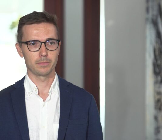 Nowa unijna regulacja ma zapobiec wylesianiu i degradacji lasów. Obejmie ok. 120 tys. firm w Polsce, które będą musiały spełnić restrykcyjne wymogi